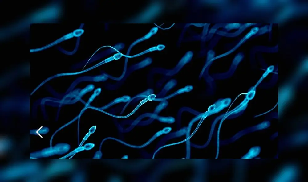 La práctica puede persuadir a más donantes varones y, con ello, derribar el estigma en torno a este procedimiento. Foto: Difusión. La práctica puede persuadir a más donantes varones y, con ello, derribar el estigma en torno a este procedimiento. Foto: Difusión.