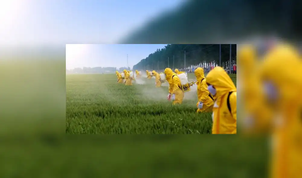 Conoce qué es el glifosato y para qué se utiliza