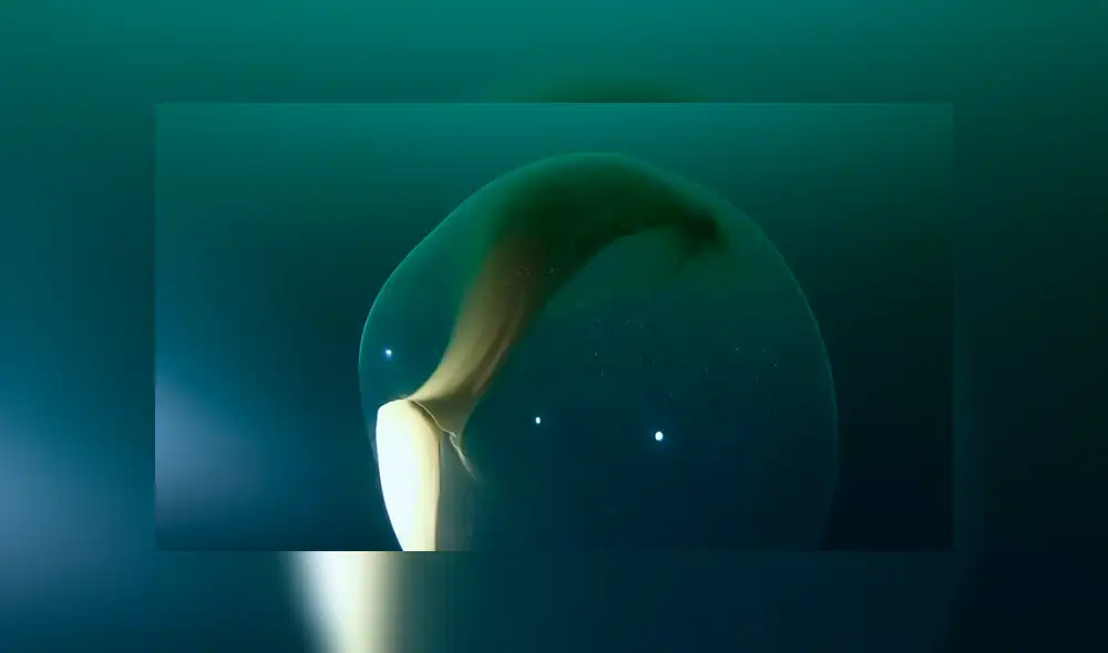 YouTube viral: buzo descubre extraña ‘burbuja’ en fondo del océano y miles quedan asombrados al saber qué es realmente