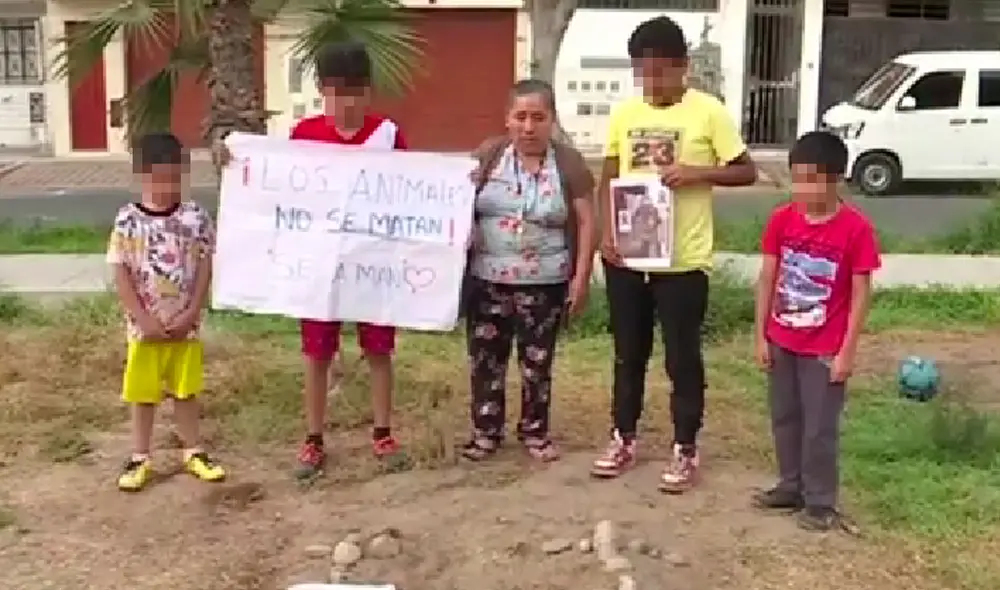 Vecinos afectados enterraron a sus mascotas en el parque donde solían jugar. Foto: captura/América TV