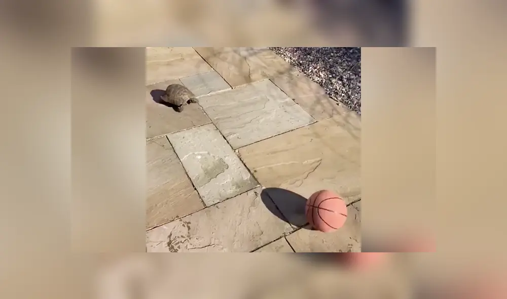 Desliza a la izquierda para conocer más sobre este video viral de YouTube. Foto: Captura.