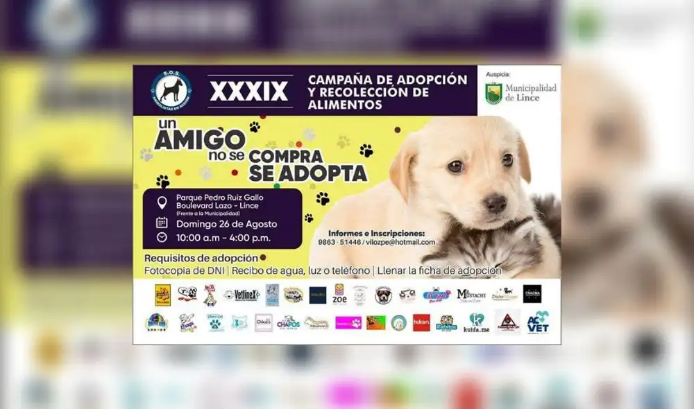 Lince: campaña de adopción y recolección de alimentos para mascotas Lince: campaña de adopción y recolección de alimentos para mascotas