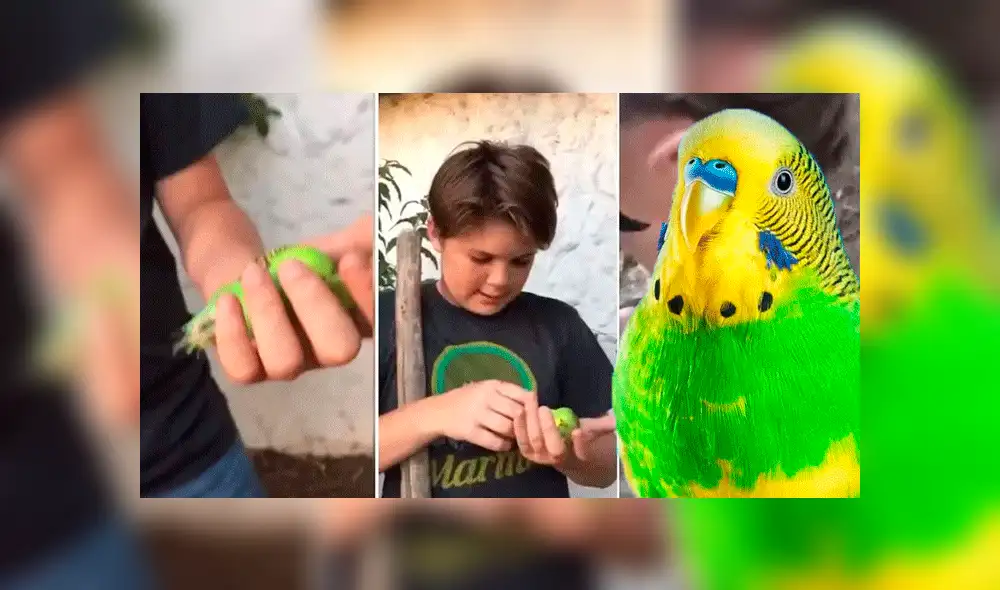 Facebook: marca de condones usa el "Adiós Chimuelo" para dar curioso mensaje [FOTO]