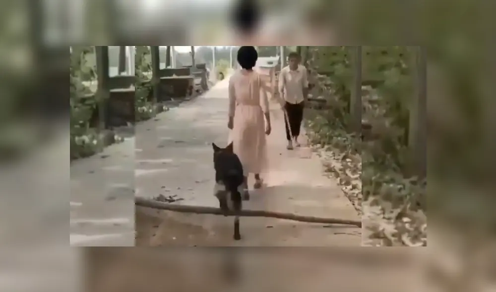 Desliza hacia la izquierda para ver más del video viral. Fotocaptura: Twitter. Desliza hacia la izquierda para ver más del video viral. Fotocaptura: Twitter.