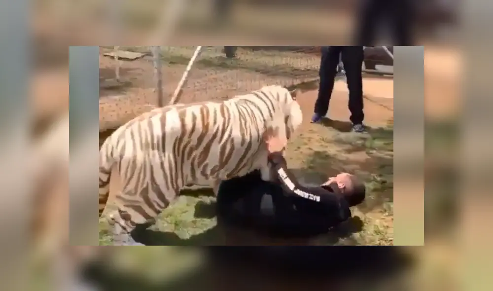 Desliza hacia la izquierda para ver el reencuentro que se hizo viral en YouTube. Desliza hacia la izquierda para ver el reencuentro que se hizo viral en YouTube.