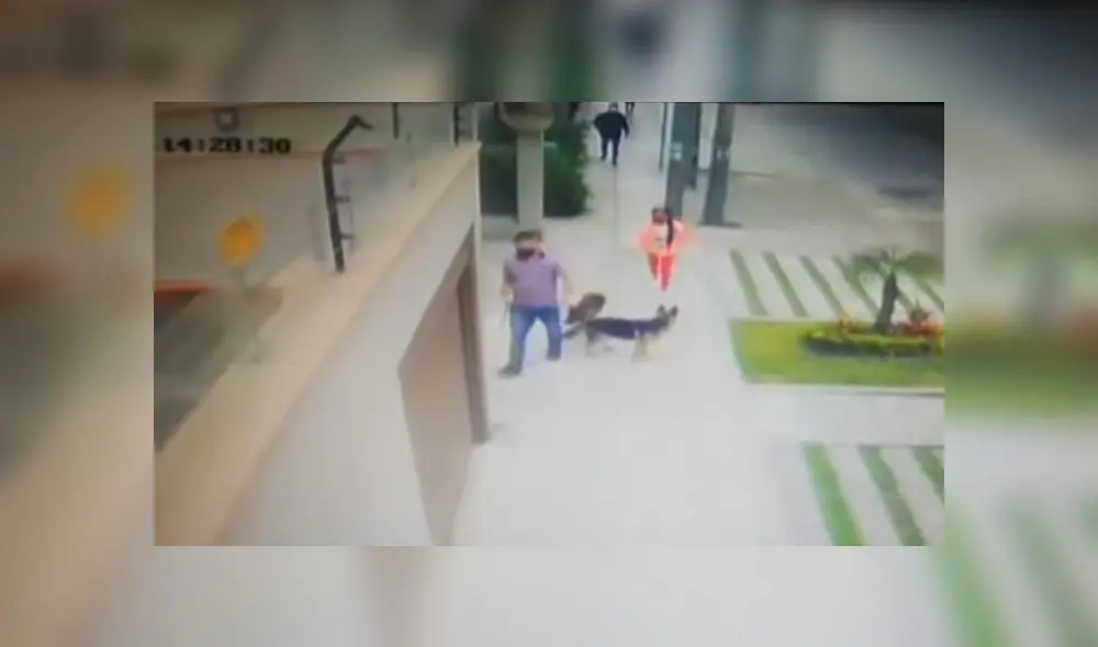 Intento de robo se produjo cuando familia retornaba a su hogar. (Foto: Captura de video / ATV Noticias) Intento de robo se produjo cuando familia retornaba a su hogar. (Foto: Captura de video / ATV Noticias)