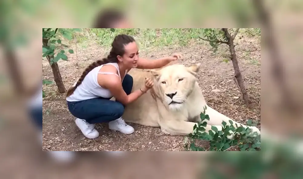 YouTube viral: Entra a calabozo de feroz depredador y este asombra a todos con una insólita reacción [VIDEO]
