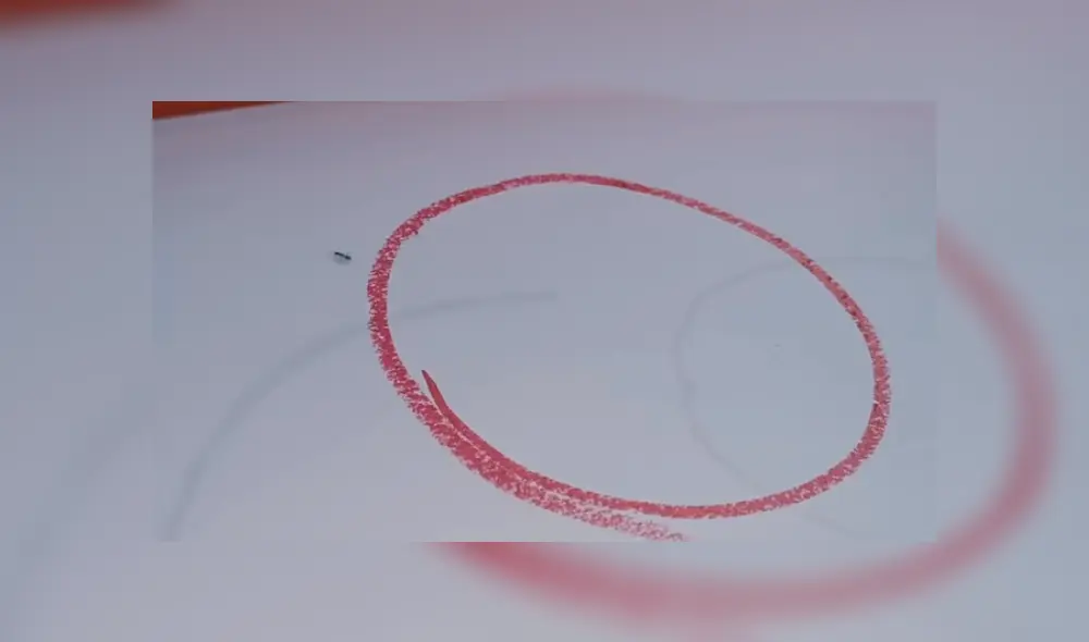 Desliza para ver los detalles del video viral publicado en YouTube. Foto: Captura.