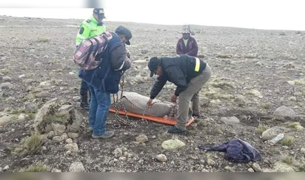 Pastorcita muere al ser impactada por rayo en Arequipa