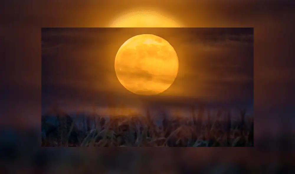 La Luna de cosecha traerá amor a los signos zodiacales. Foto: Difusión