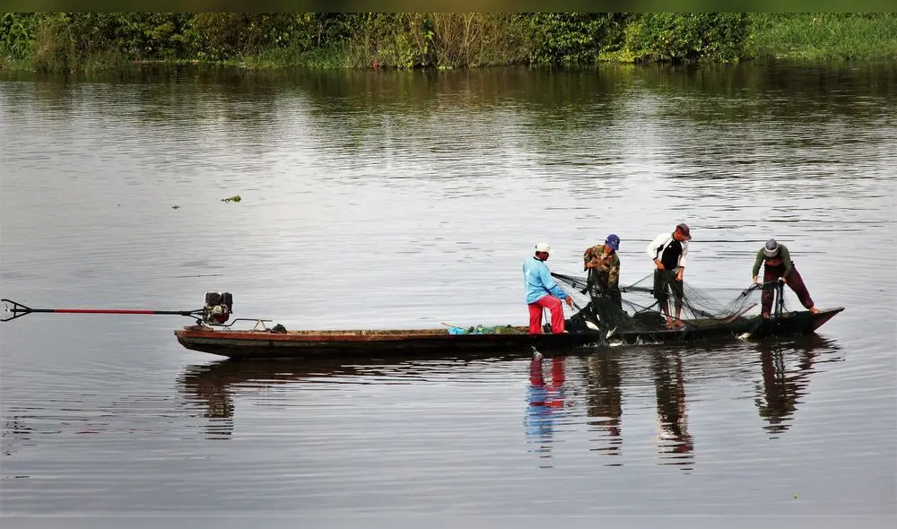 Pesca en Iquitos. Foto tomada de Internet SPDA Actualidad Ambiental. Pesca en Iquitos. Foto tomada de Internet SPDA Actualidad Ambiental.