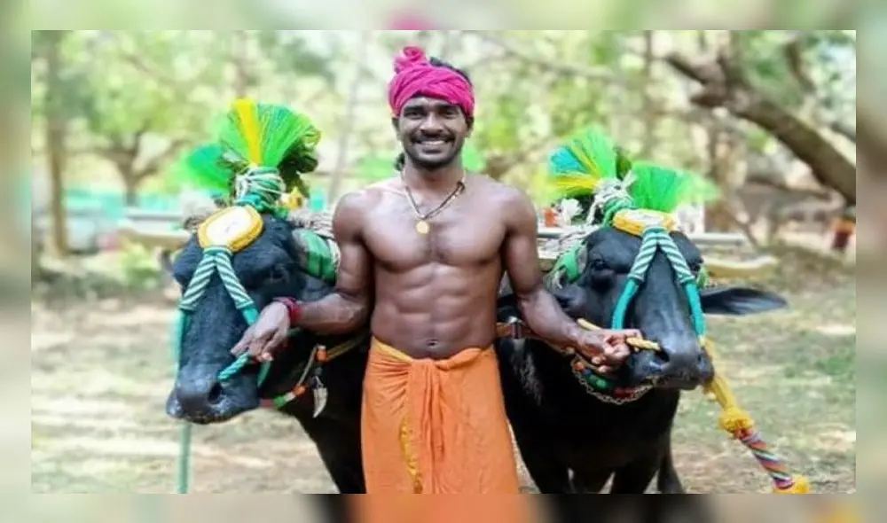 Srinivas Gowda rompió un récord en una tradicional carrera de búfalos en la India. Foto: AFP.