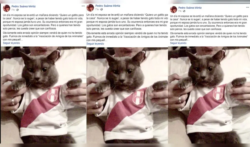 Pedro Suárez Vertiz