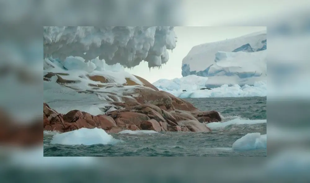 Los científicos determinaron que la isla estuvo de bajo de una parte del glaciar Pine Island que se derritió. Foto: Houston-Wellner. Los científicos determinaron que la isla estuvo de bajo de una parte del glaciar Pine Island que se derritió. Foto: Houston-Wellner.