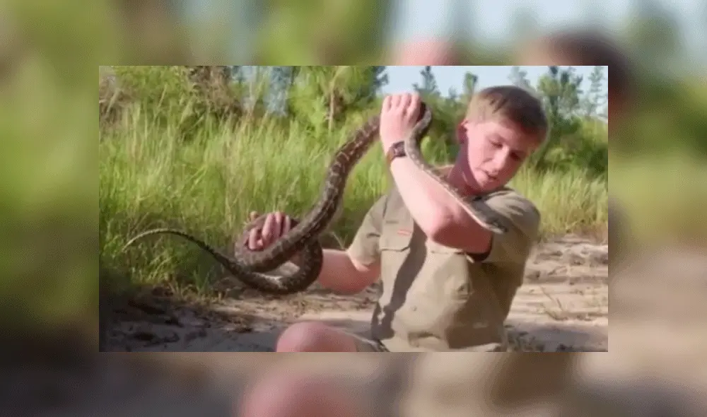 Robert Irwin grababa una escena para un programa de Animal Planet. Foto: captura Instagram. Robert Irwin grababa una escena para un programa de Animal Planet. Foto: captura Instagram.