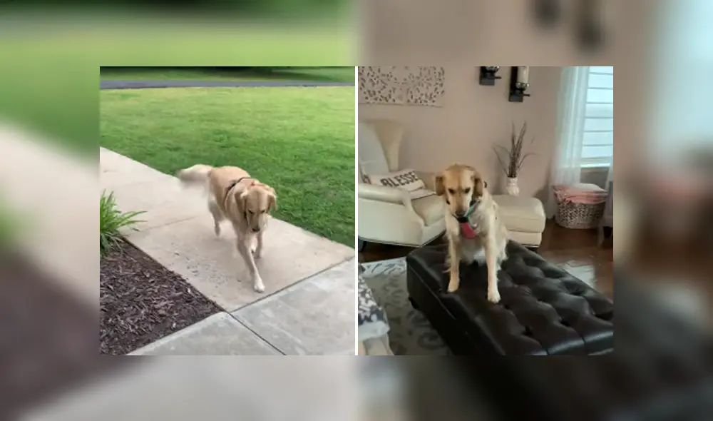 Desliza hacia la izquierda para ver las imágenes del viral de Facebook.