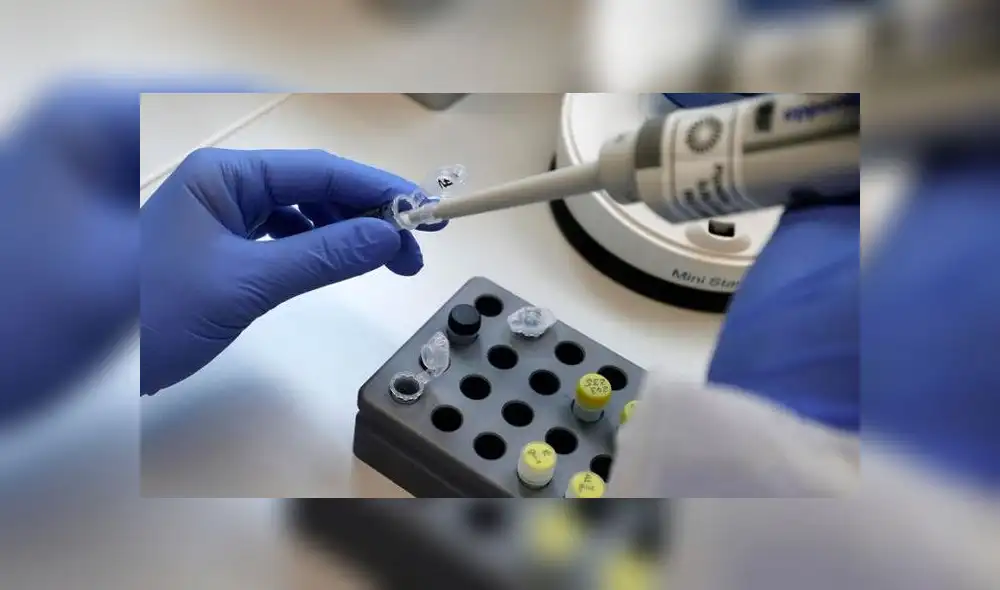 El cóctel de anticuerpos busca ser un tratamiento y también una medida preventiva contra la COVID-19. Foto: EFE El cóctel de anticuerpos busca ser un tratamiento y también una medida preventiva contra la COVID-19. Foto: EFE