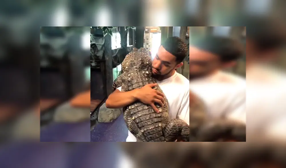 En YouTube, un joven no tuvo temor en cargar un enorme cocodrilo y para su buena suerte no sufrió un ataque.