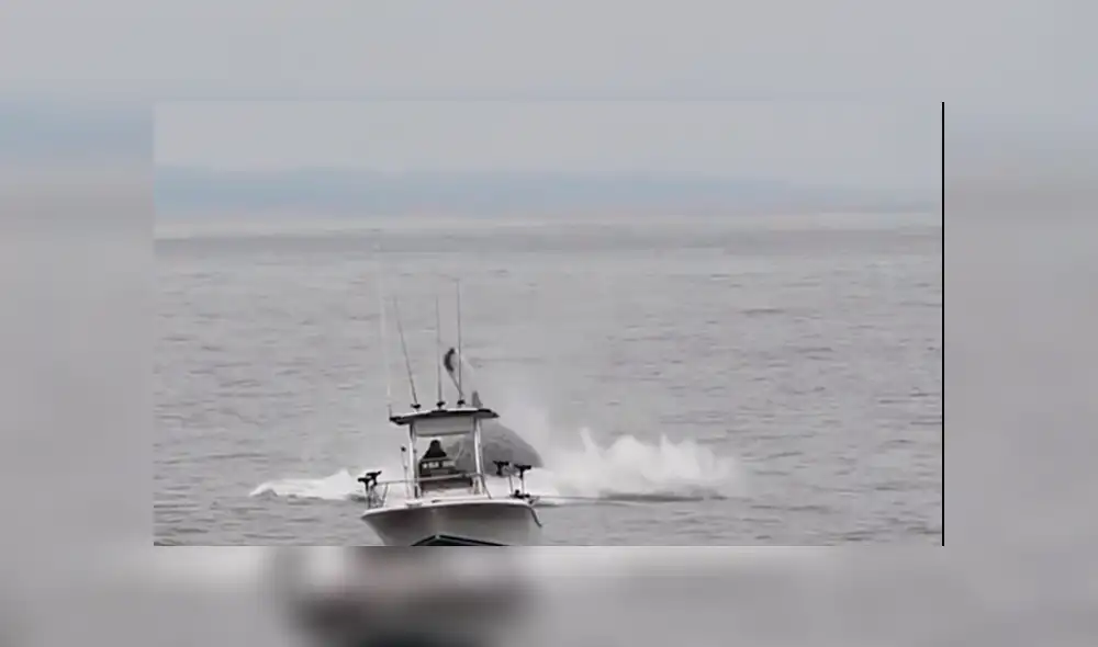 Enorme ballena irrumpe cerca de barco de un pescador que estaba en altamar.