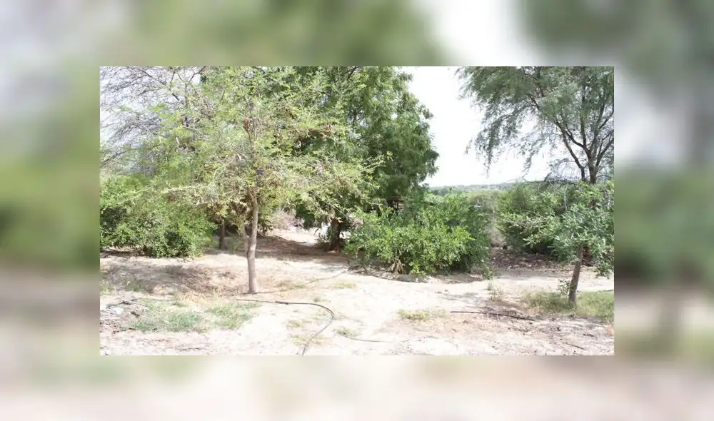 piura secuestro abuso policial