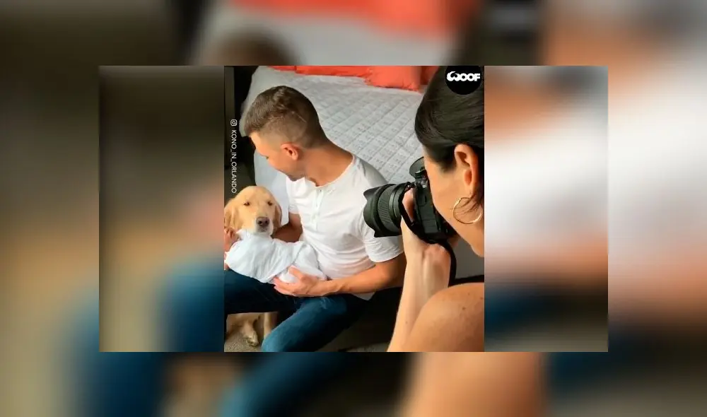 Desliza las imágenes para ver la emotiva escena que protagonizó un perro al conocer a la hija de su dueño. Foto: Woof Woof