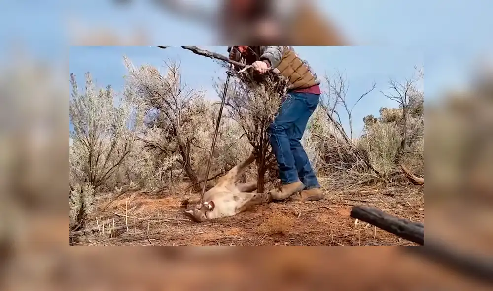 Desliza para ver los momentos más impactantes del video que se hizo viral en YouTube. Desliza para ver los momentos más impactantes del video que se hizo viral en YouTube.