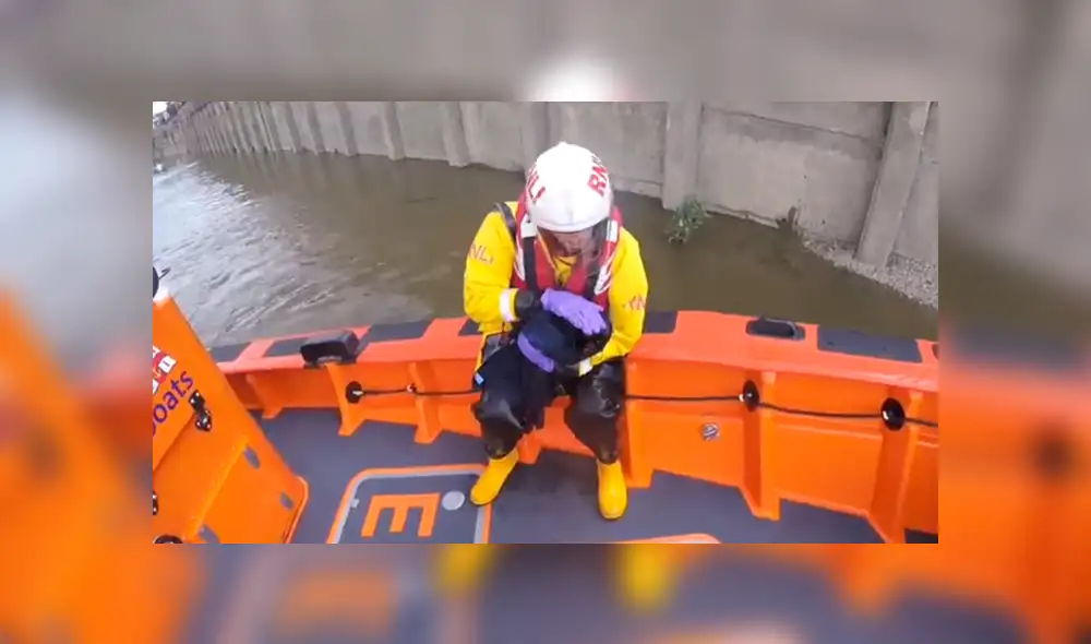 Desliza la imagen compartida para verlas todas. Foto: RNLI/Facebook