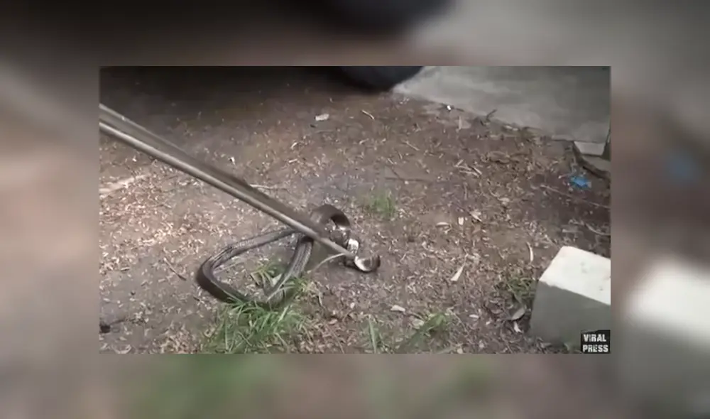 Desliza hacia la izquierda para ver las imágenes del viral de Facebook. Foto: Captura.