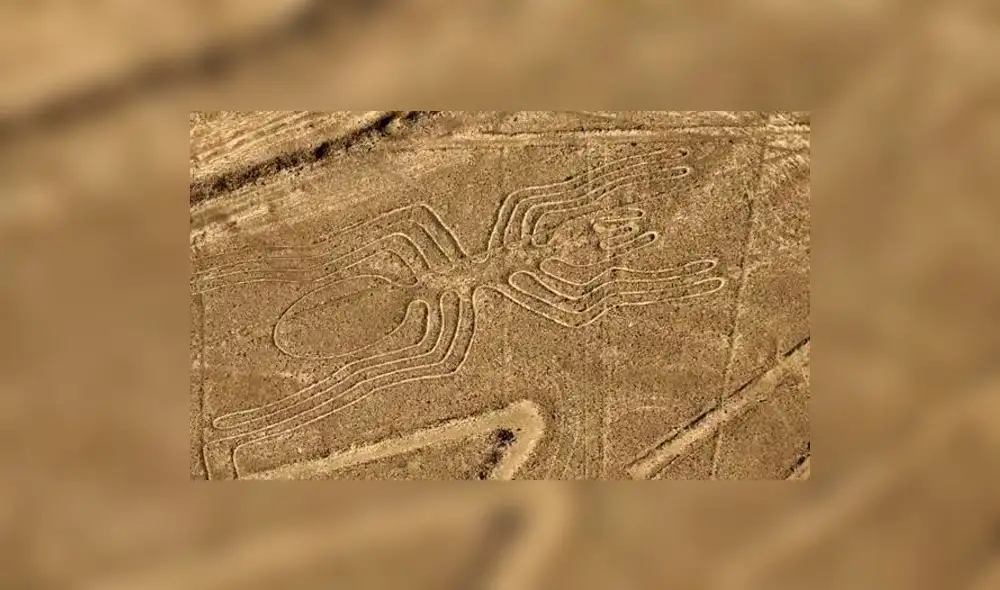 Líneas de Nasca: Se descubre el auténtico significado de los geoglifos Líneas de Nasca: Se descubre el auténtico significado de los geoglifos