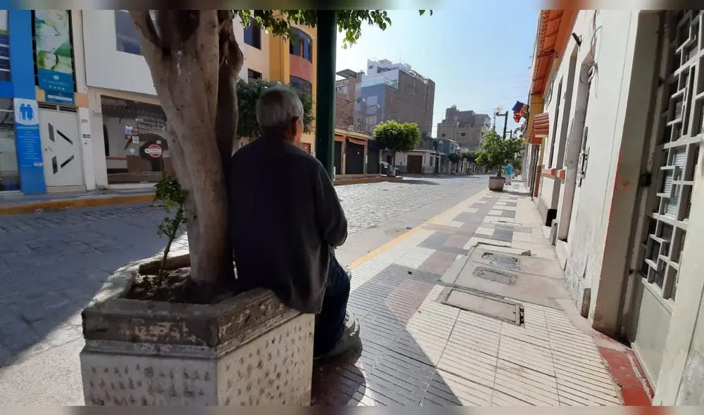Anciano toma un poco de sol en una jardinera. Anciano toma un poco de sol en una jardinera.