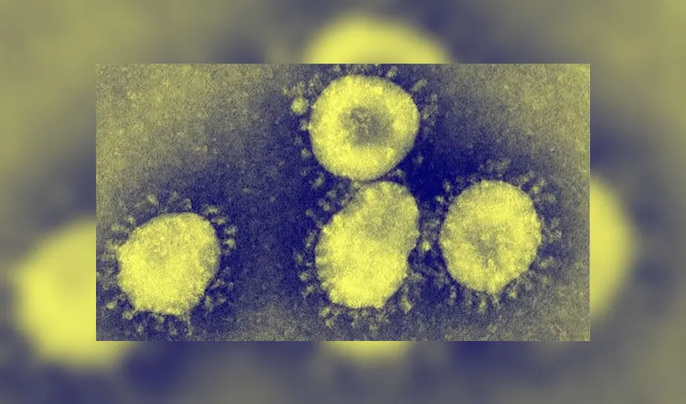 Vista microscópica del SARS-CoV-2. Crédito: CDC. Vista microscópica del SARS-CoV-2. Crédito: CDC.