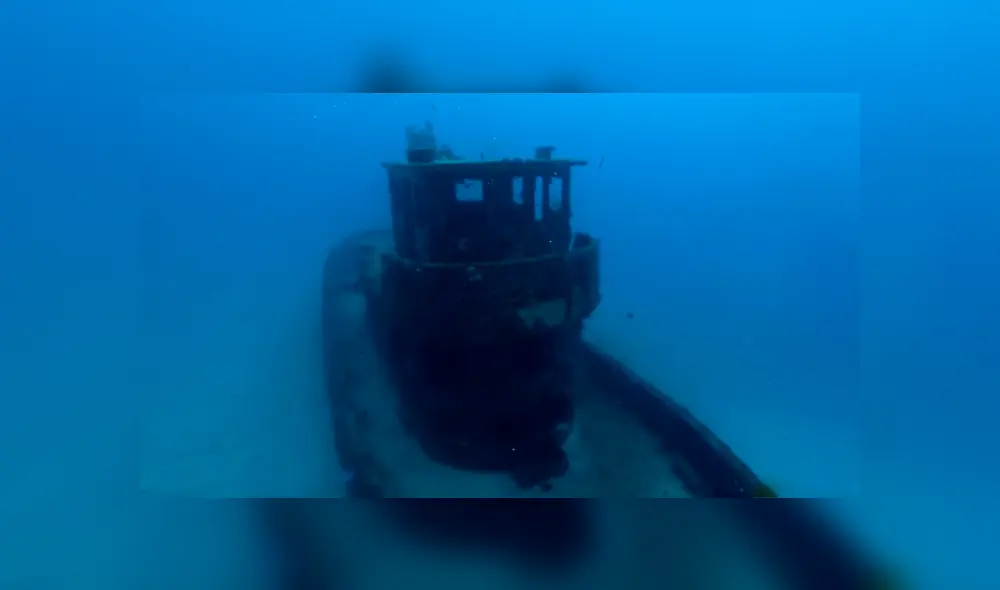 YouTube viral: buzo ingresa al mar en busca de ‘tesoro’ oculto y se topa con hambrientos tiburones.