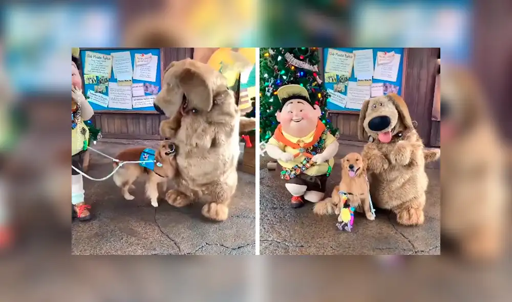 En Facebook, un perro acudió con su dueña a un parque de diversiones en Disney y tuvo una linda sorpresa. En Facebook, un perro acudió con su dueña a un parque de diversiones en Disney y tuvo una linda sorpresa.