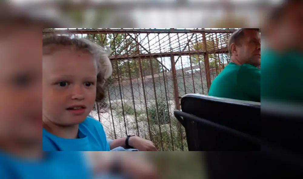 Leona enfurece con turistas al despertar bruscamente.