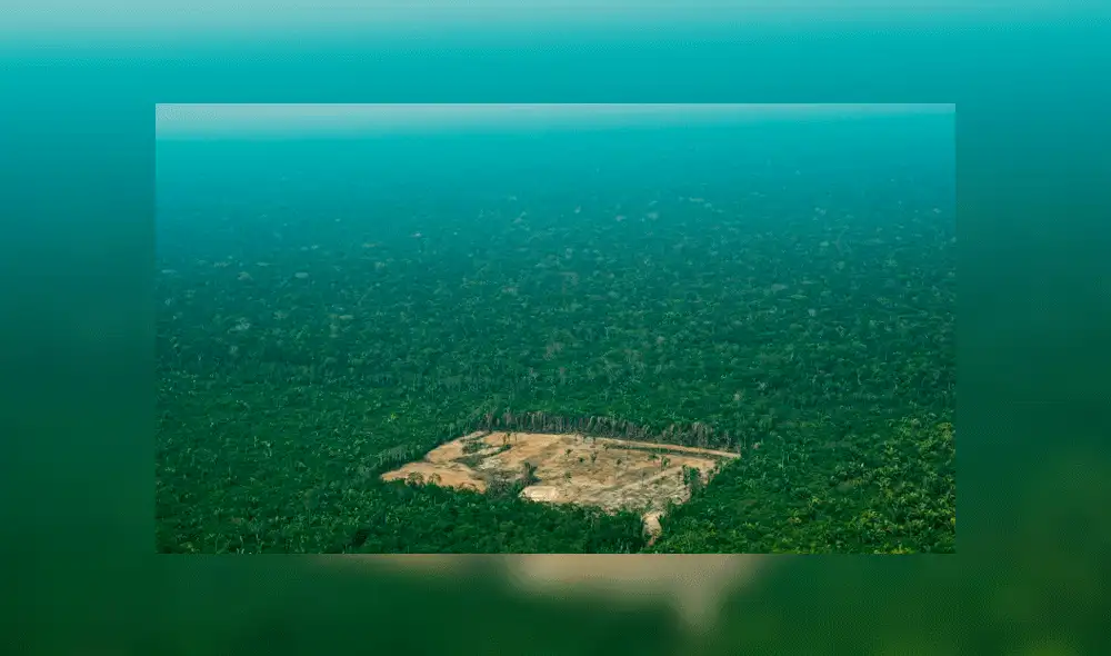 Recomendaciones para cuidar el Amazonas. Foto: AFP Recomendaciones para cuidar el Amazonas. Foto: AFP