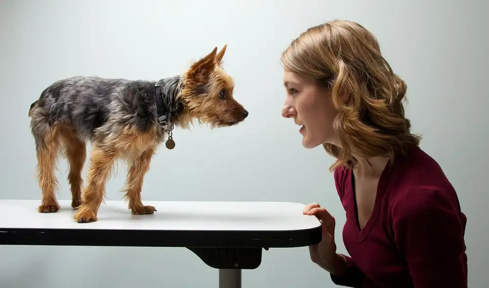 Perros y humanos llevan una relación especial desde hace siglos, sin embargo, el desarrollo de los vínculos es diferente en ambas especies| Foto: VINCENT J. MUSI, NAT GEO IMAGE COLLECTION