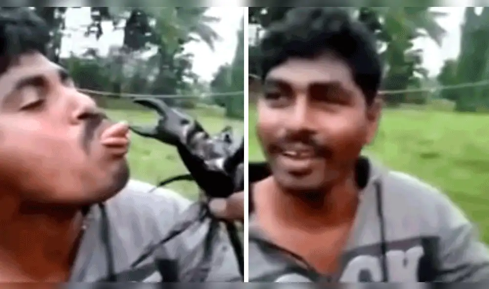 Viral en YouTube: Hombre sufrió la furia de un cangrejo por cumplir un reto [VIDEO] 