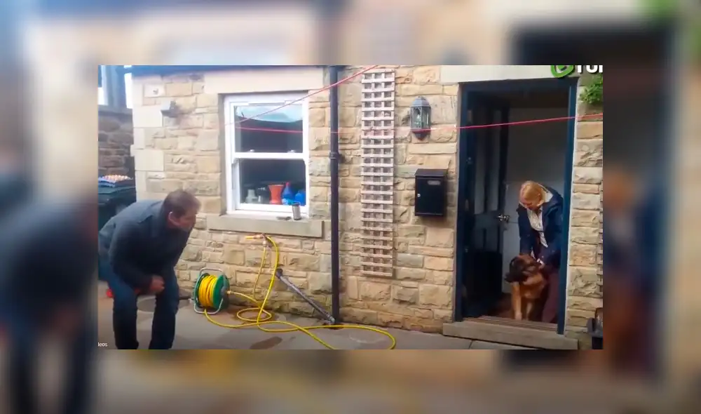 YouTube viral: perro se reencuentra con su dueño que lo cuidó de bebé y reacción del animal conmueve [VIDEO]