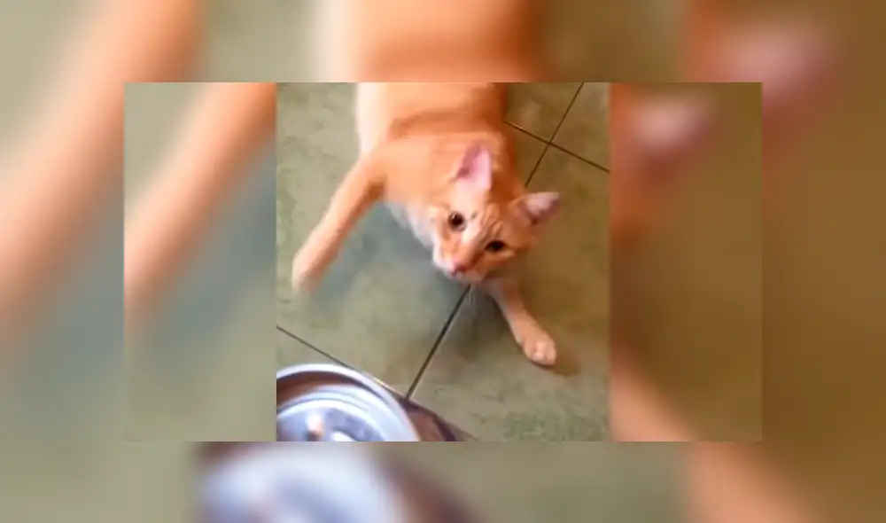 Desliza la imagen de Facebook para ver todas las fotos.