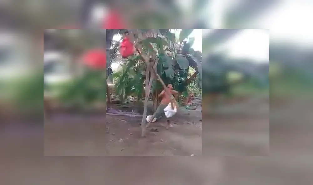 En Facebook, un padre recolectó varios materiales para crear un columpio en medio de un desolado campo.