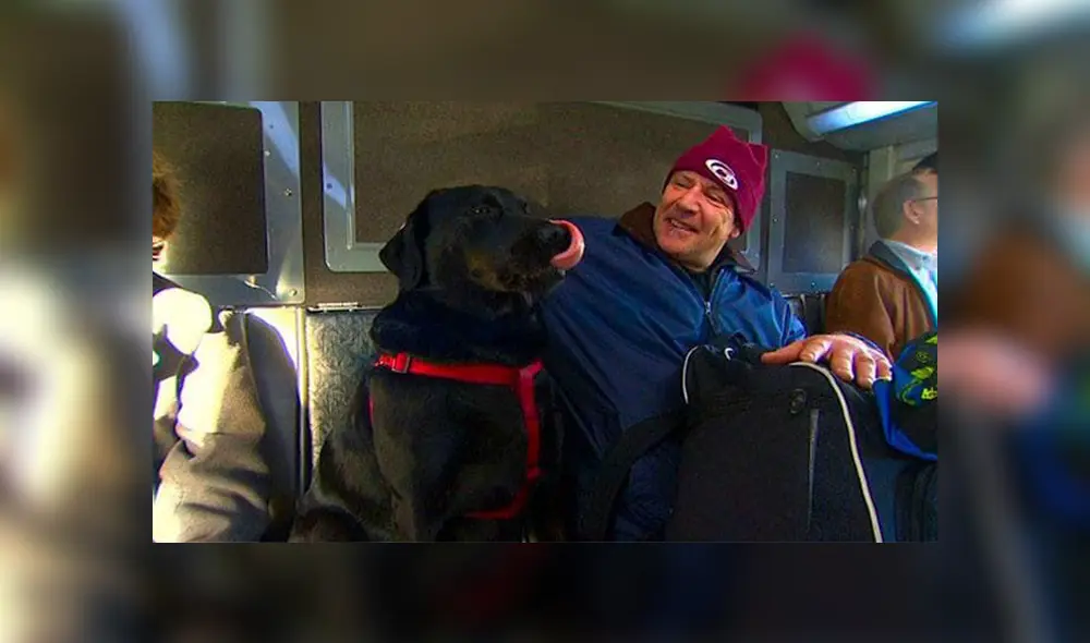 En Facebook, una perrita decidió viajar sin compañía de su dueño para acudir a un parque y jugar.