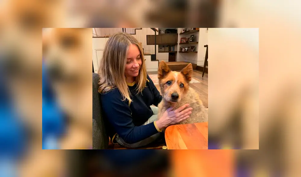 Facebook viral: perro fue abandonado por su sobrepeso, una mujer lo adopta y luego de meses luce así Facebook viral: perro fue abandonado por su sobrepeso, una mujer lo adopta y luego de meses luce así