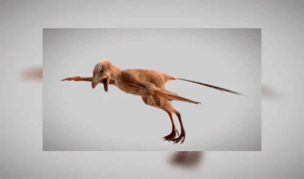 YouTube viral: Extraña criatura parecido a un dinosaurio sorprende en redes sociales [VIDEO]