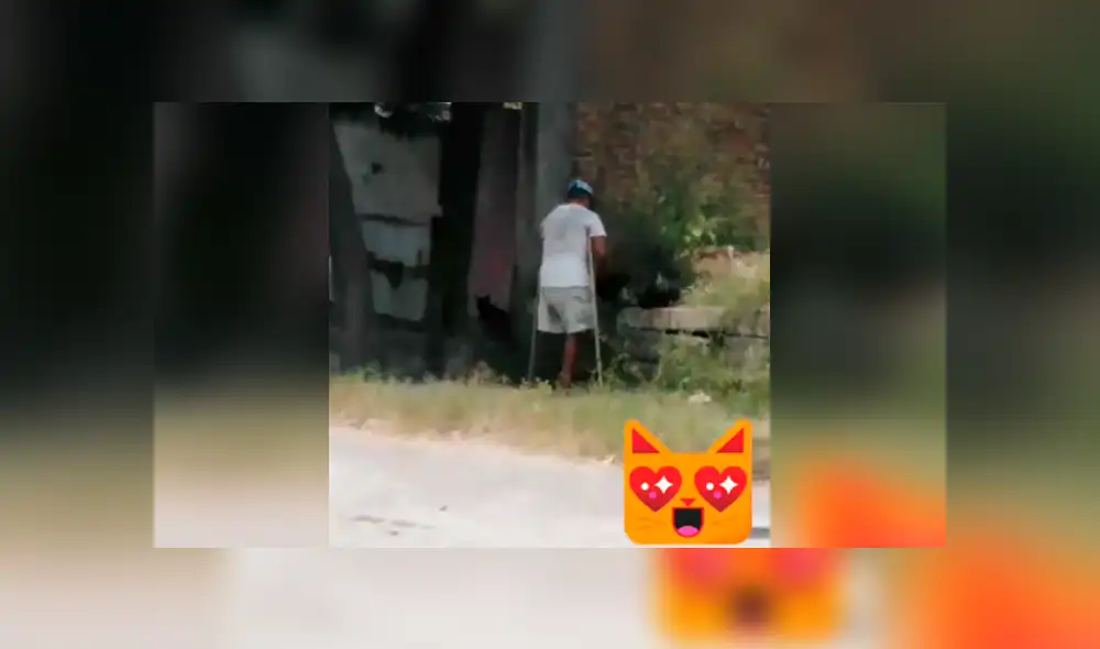 Desliza las imágenes para observar el noble gesto que tuvo un hombre al brindar alimentos a unos gatos. Foto: Captura.