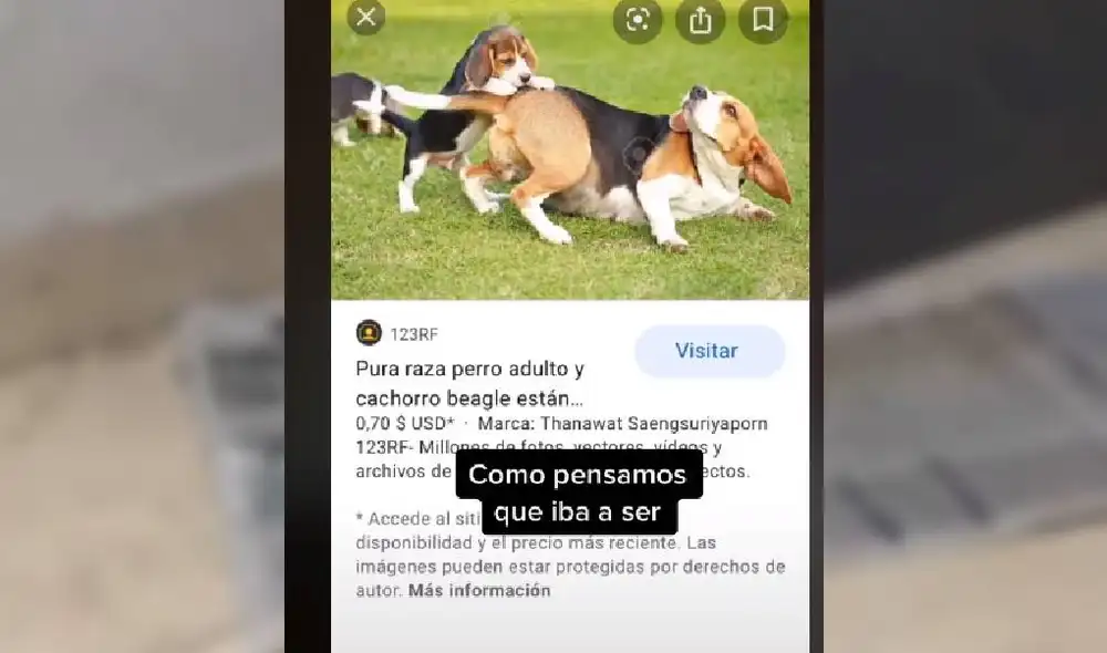 Desliza las imágenes para ver cómo termina el viral de TikTok. Foto: Captura/@Moroncaro