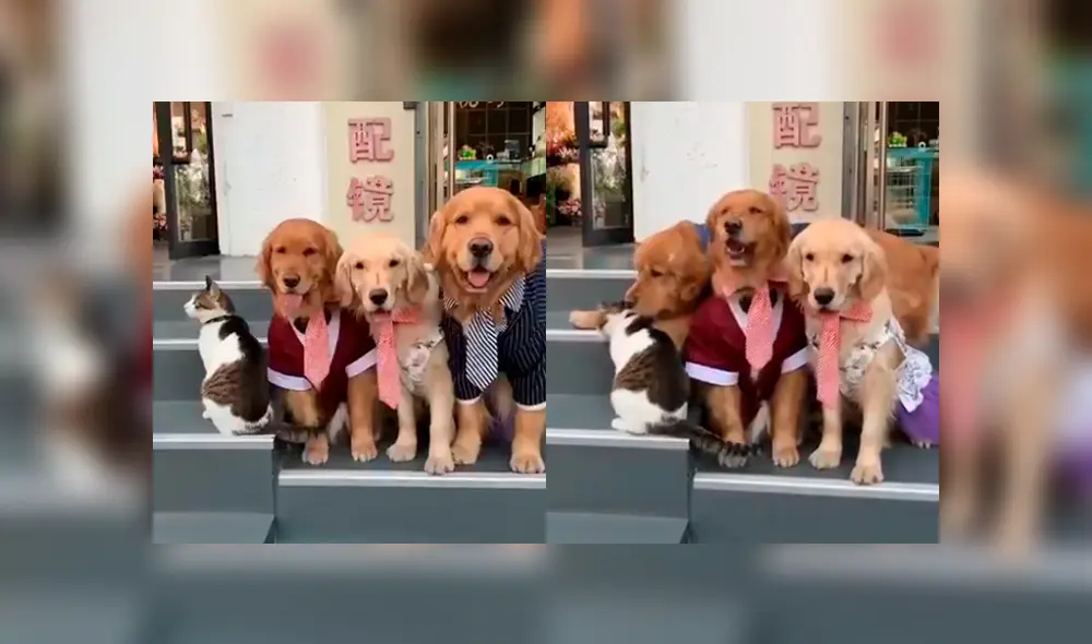 Desliza la imagen de Facebook para verlas todas. Desliza la imagen de Facebook para verlas todas.