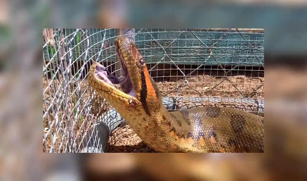 Desliza para ver los momentos más aterradores del video que se hizo viral en YouTube. Desliza para ver los momentos más aterradores del video que se hizo viral en YouTube.