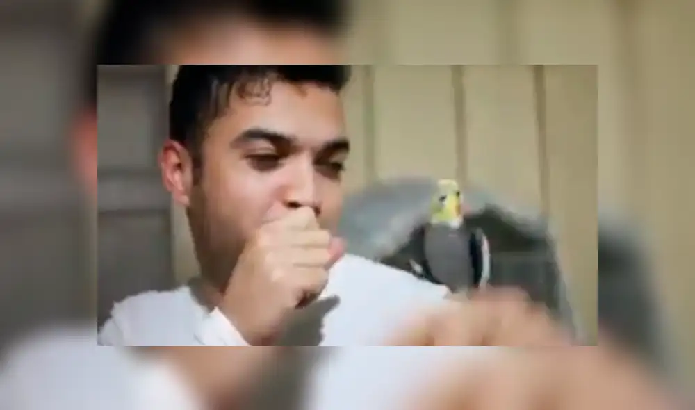 Video es viral en Facebook. El joven practicaba ‘beatbox’ en compañía de su loro, sin imaginar que el ave aprendería los sonidos y comenzaría a imitarlo. Foto: Captura. Video es viral en Facebook. El joven practicaba ‘beatbox’ en compañía de su loro, sin imaginar que el ave aprendería los sonidos y comenzaría a imitarlo. Foto: Captura.
