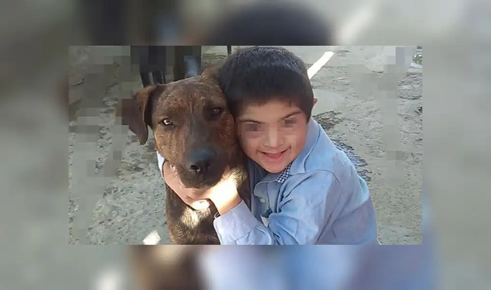 Denuncian envenenamiento de perrito guía de niño con síndrome de Down Denuncian envenenamiento de perrito guía de niño con síndrome de Down