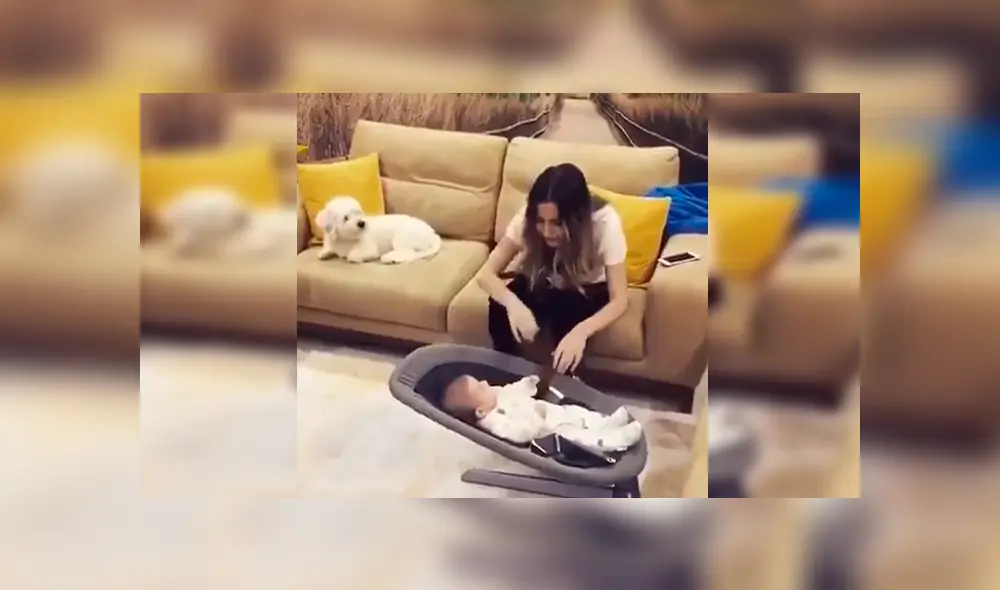 En Facebook, una joven madre quedó sorprendida con la reacción de su mascota cuando vio que fingía lastimar a su bebé. En Facebook, una joven madre quedó sorprendida con la reacción de su mascota cuando vio que fingía lastimar a su bebé.